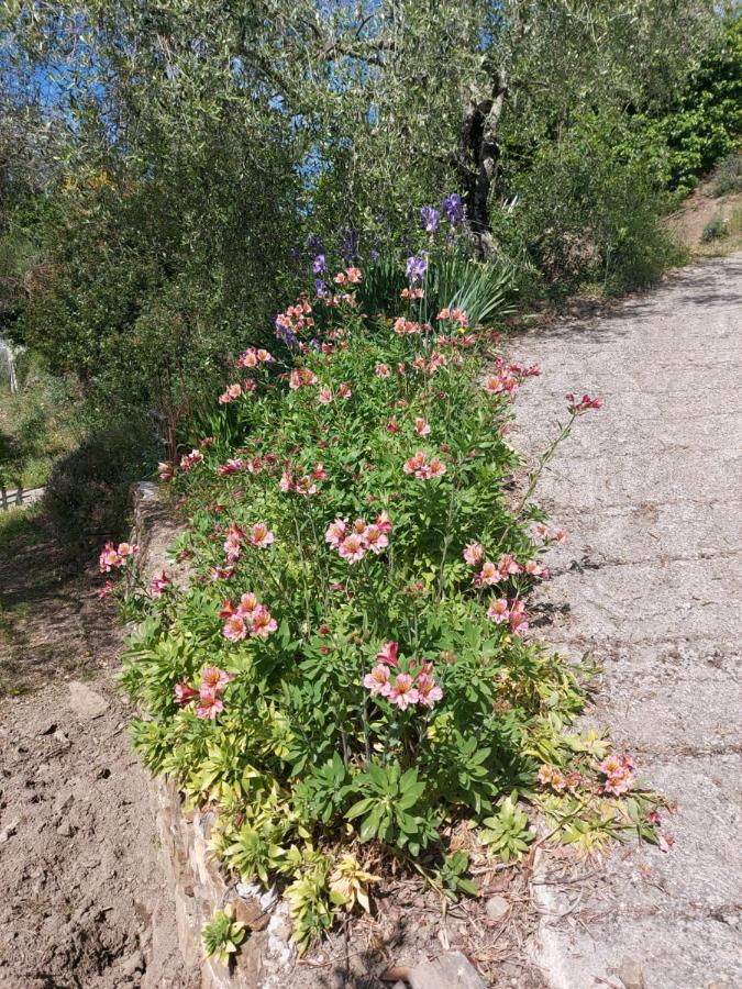 Villa Nostro Rifugio Apricale Exterior foto