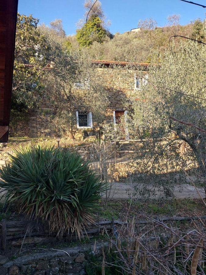 Villa Nostro Rifugio Apricale Exterior foto