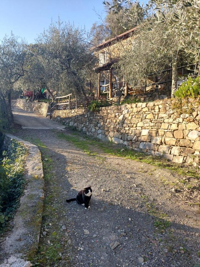 Villa Nostro Rifugio Apricale Exterior foto